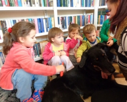 2016-Könyvtár-kutyasimogatás7